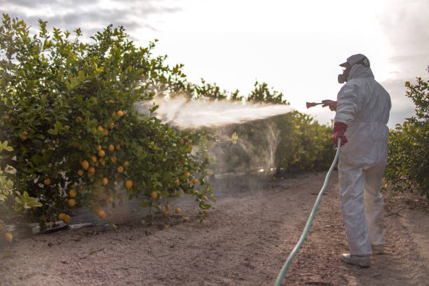 Best Bed Bug Extermination  in Tenafly, NJ
