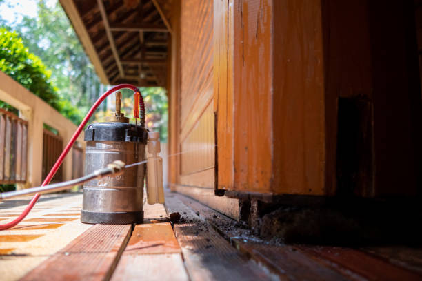 Best Cockroach Control Services  in Tenafly, NJ