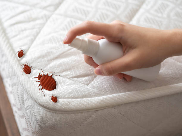 Pest Control for Restaurants in Tenafly, NJ